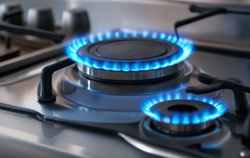 Gasherd mit Doppelflamme Test: Die 5 besten (Bestenliste)